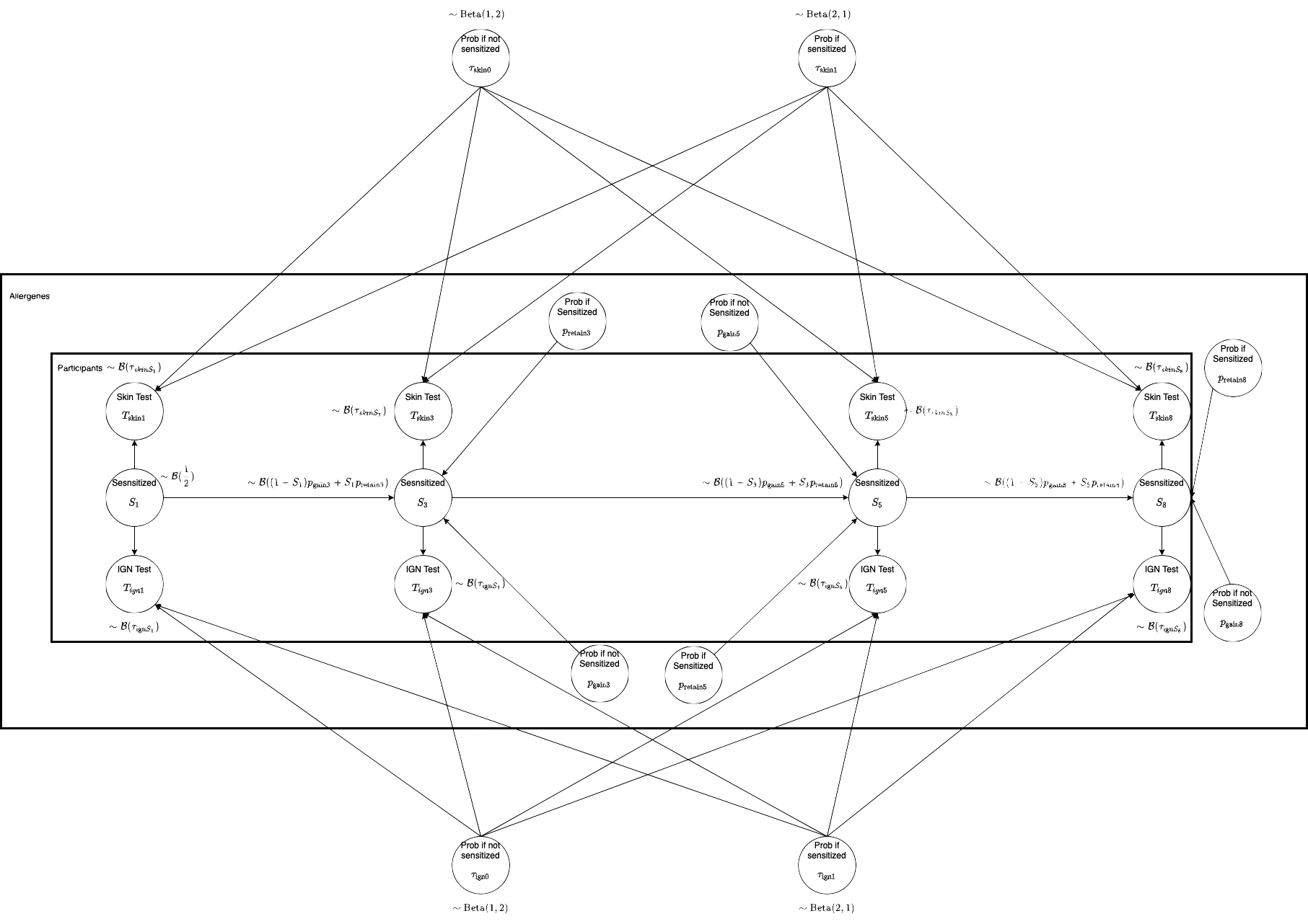 Graphical model for the development of allergies