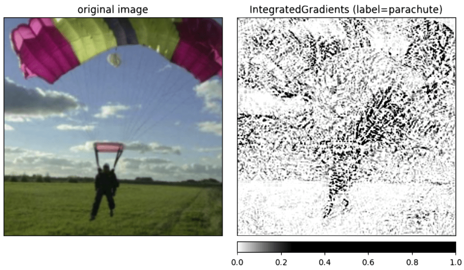 Saliency map via integrated gradients